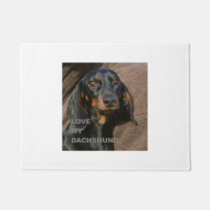 Tapete PIC dachshund-preto e tan de w do amor
