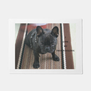 Tapete PIC de w do amor de Brindle_French_Bulldog
