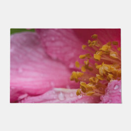Tapete Pink Camellia Flower Stamens