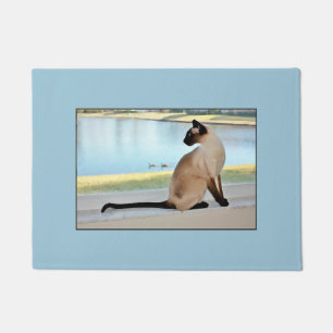 Tapete Pintura calma do gato Siamese