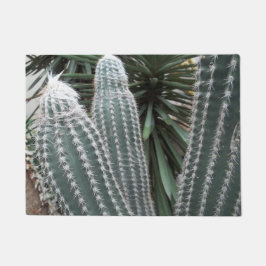 Tapete Plantas Desérticas do Cactus Cactos no Sudoeste