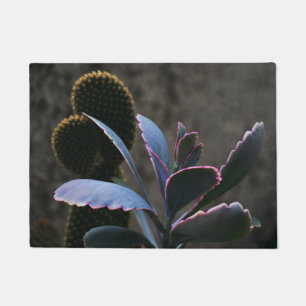 Tapete Plantas do deserto