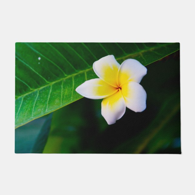 Tapete plumeria (Frente)