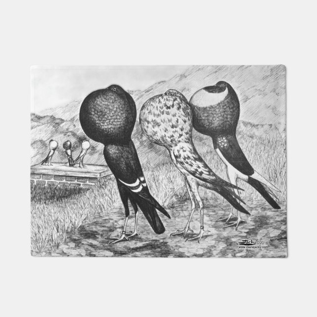 Tapete Pombos do Pouter de Brunner (Frente)