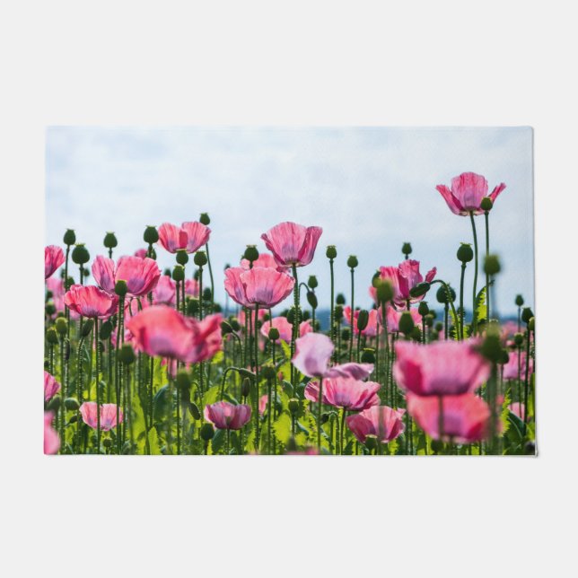 Tapete Poppies Rosa (Frente)