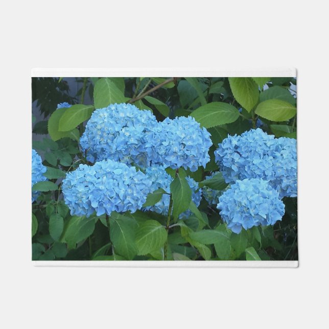 Tapete Porta da Hydrangea azul (Frente)