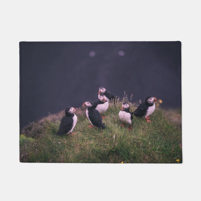 Tapete Porta de Puffins Atlântico (Frente)