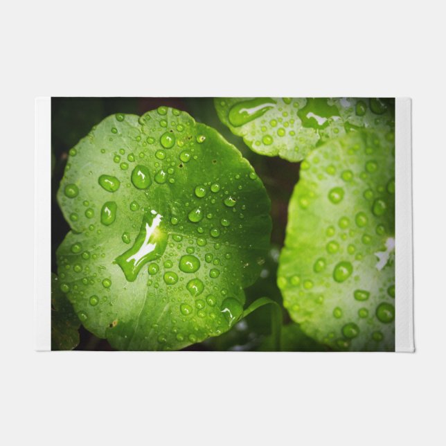 Tapete Porta de qualidade Premium (Frente)