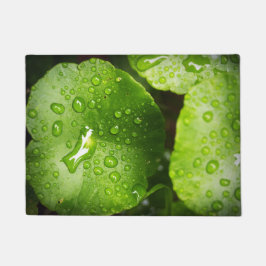 Tapete Porta de qualidade Premium