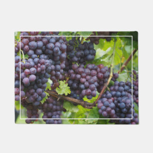 Tapete Porta de Uvas