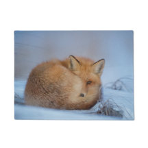 Porta-esteira de Raposa