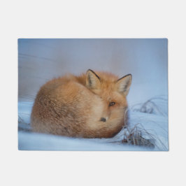 Tapete Porta-esteira de Raposa