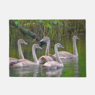 Tapete Portas do Cisne