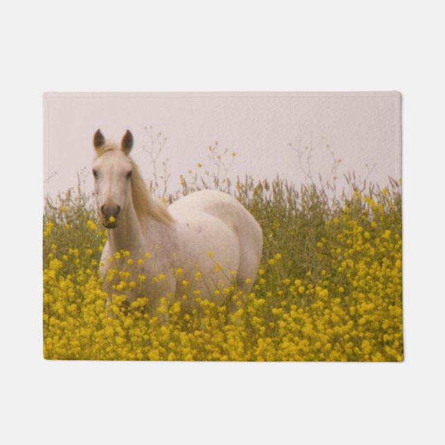 Tapete Primavera (Frente)