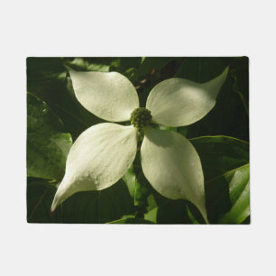 Tapete Primavera branco da flor Sunlit do Dogwood floral