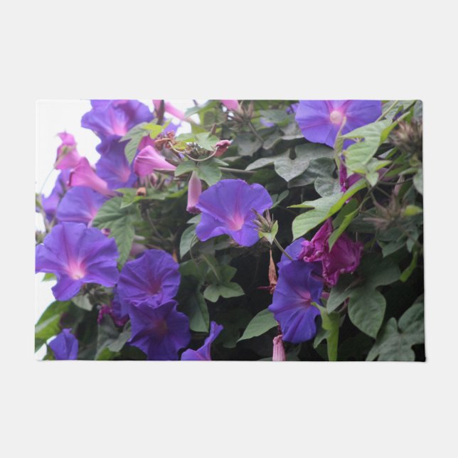 Tapete Primavera Morning Glories in Blue (Frente)