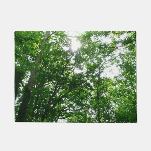 Tapete Procurando Árvores de Verão (Frente)