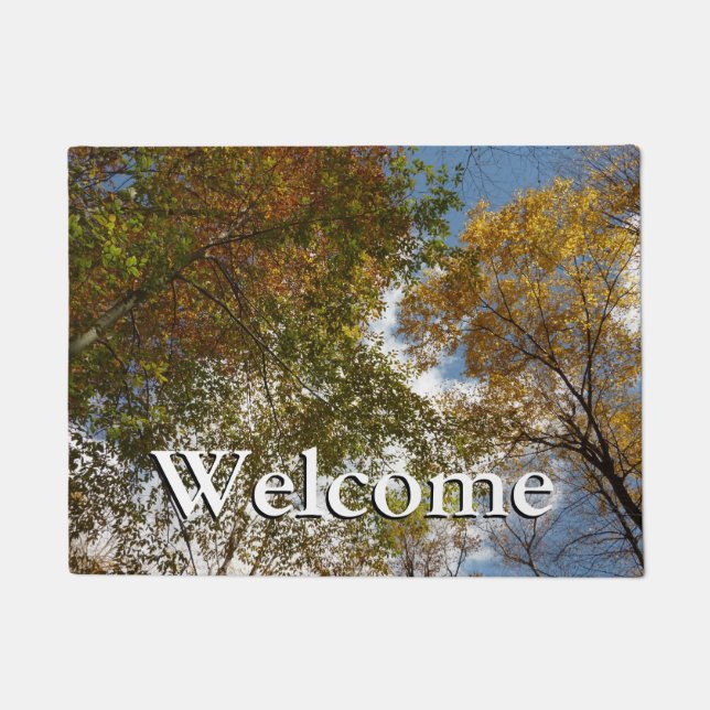 Tapete Procurando Folhas de outono na Natureza do outono (Frente)