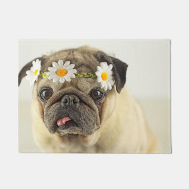 Tapete Pug com Daisy Crown (Frente)