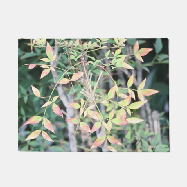 Tapete Queda Por Sua Matriz De Porta (Frente)