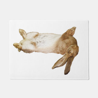 Tapete rabbit door mat