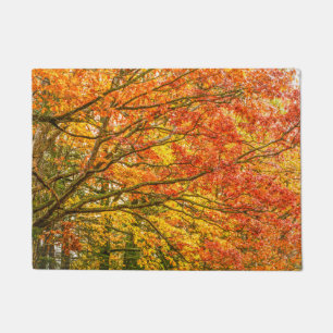 Tapete Ramificações de árvores Letchworth Natureza Laranj