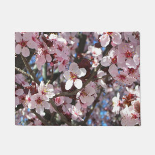 Tapete Ramo da árvore de florescência do primavera