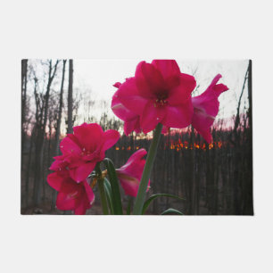 Tapete Red Amaryllis e Winter Sunrise