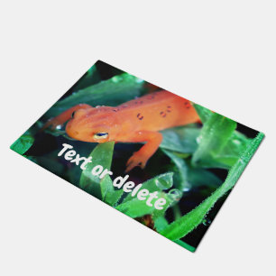 Tapete Red Eft Salamander Raindrop On Eye Personalizado