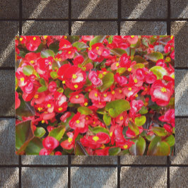 Tapete Red Wax Begonias Floral