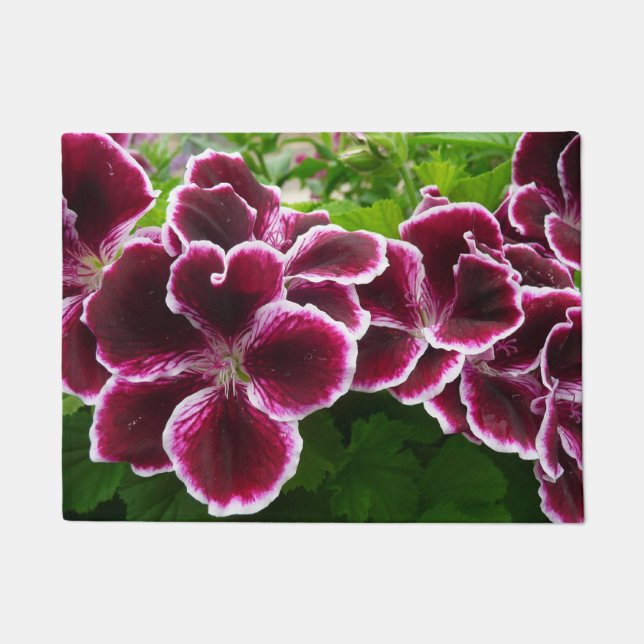 Tapete Regal Geranium Flores Elegantes Maroon Floral Lugg (Frente)