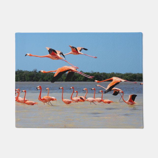 Tapete Reserva da biosfera de Celestun (Frente)