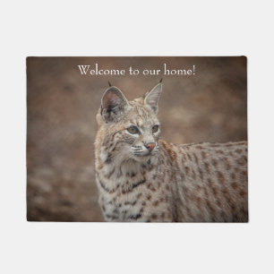 Tapete Retrato de um Bobcat