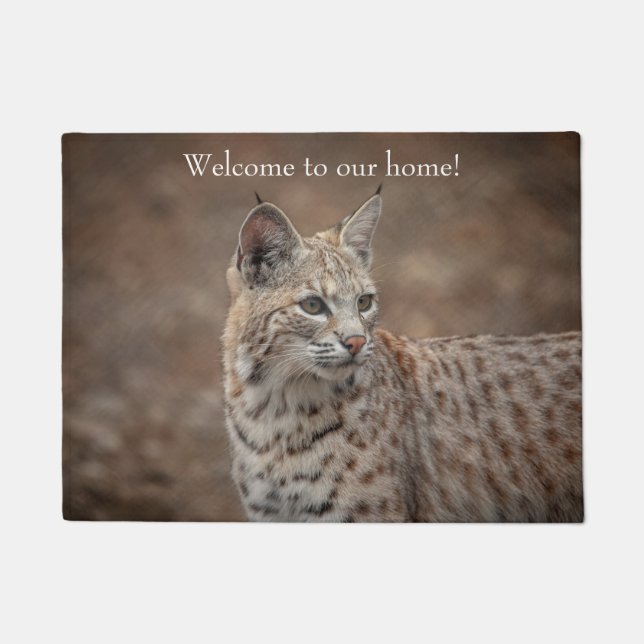 Tapete Retrato de um Bobcat (Frente)