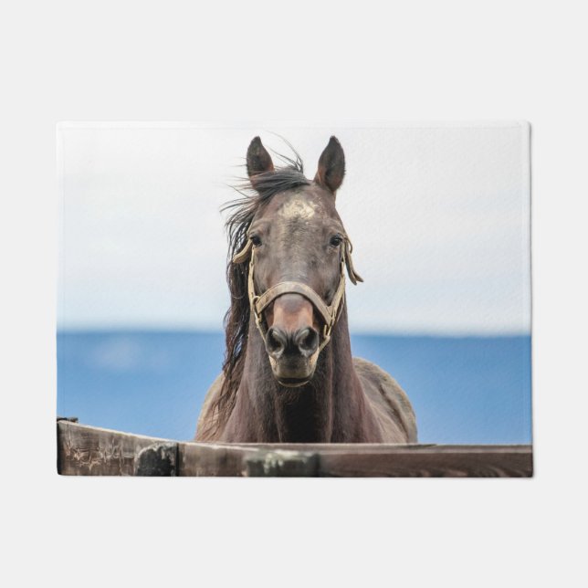 Tapete Retrato de um cavalo (Frente)