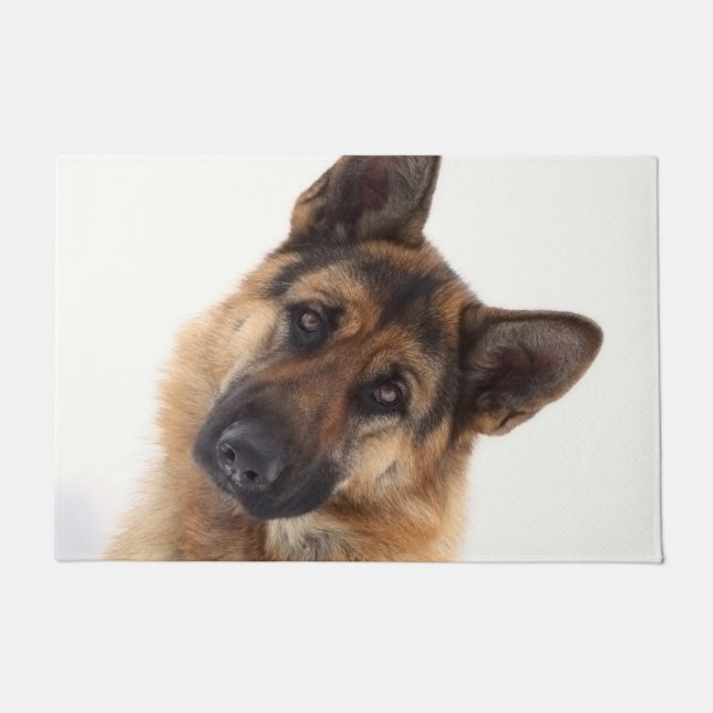 Tapete Retrato engraçado e adorável do german shepherd (Frente)