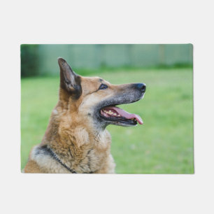 Tapete Retrato German shepherd