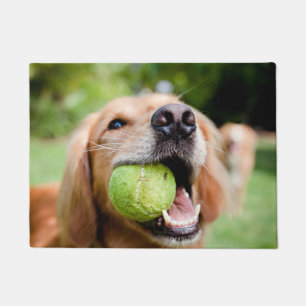 Tapete Retriever De Ouro Com Bola De Tênis