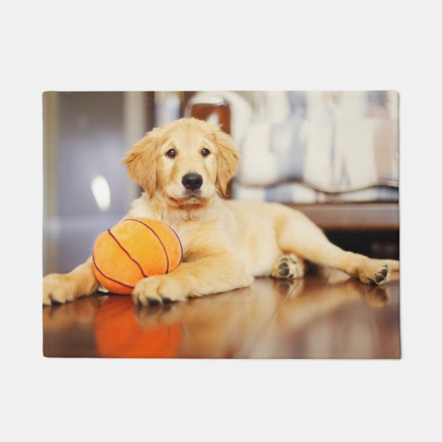 Tapete Retriever Ouro Com Brinquedo De Basquete (Frente)