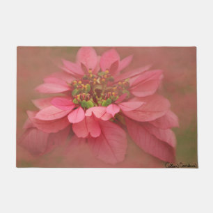 Tapete Rosa Blush Poinsettias - Arte Digital