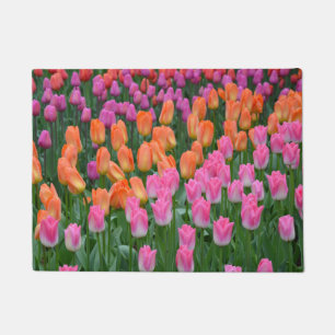 Tapete Rosa e tulipas alaranjadas do primavera