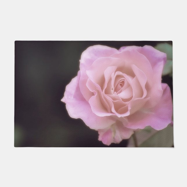 Tapete Rosa rosa magnífica (Frente)