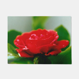 Tapete Rosa vermelha de manhã coberta com gotas de orvalh