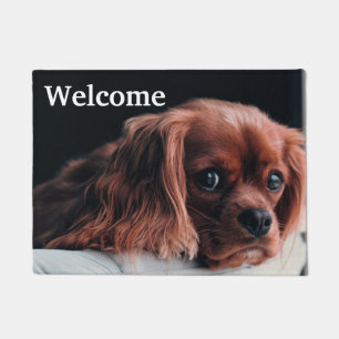 Tapete Ruby Cavalier King Charles Spaniel Puppy Dog