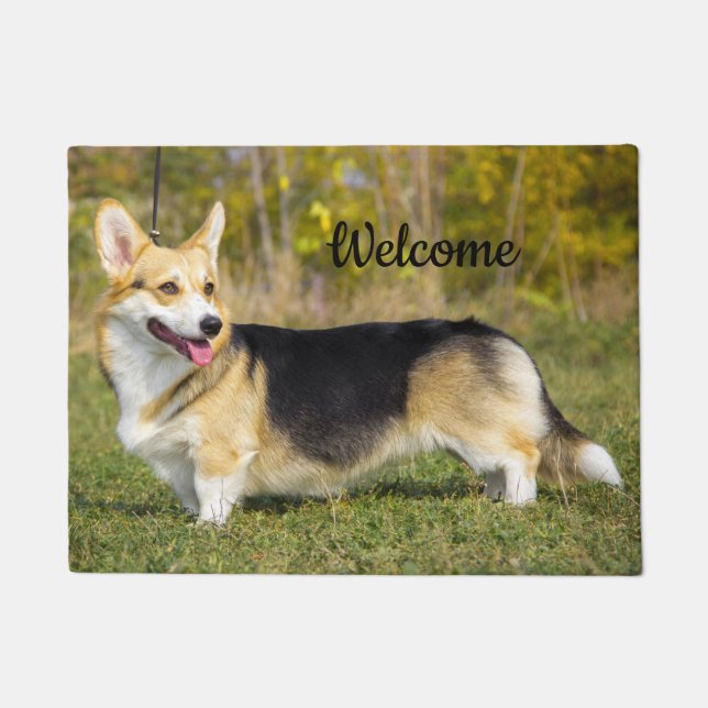 Tapete Sable Cardigan Welsh Corgi Dog (Frente)