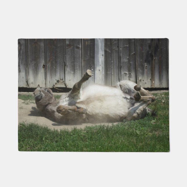 Tapete Sand Bathing Donkey (Frente)