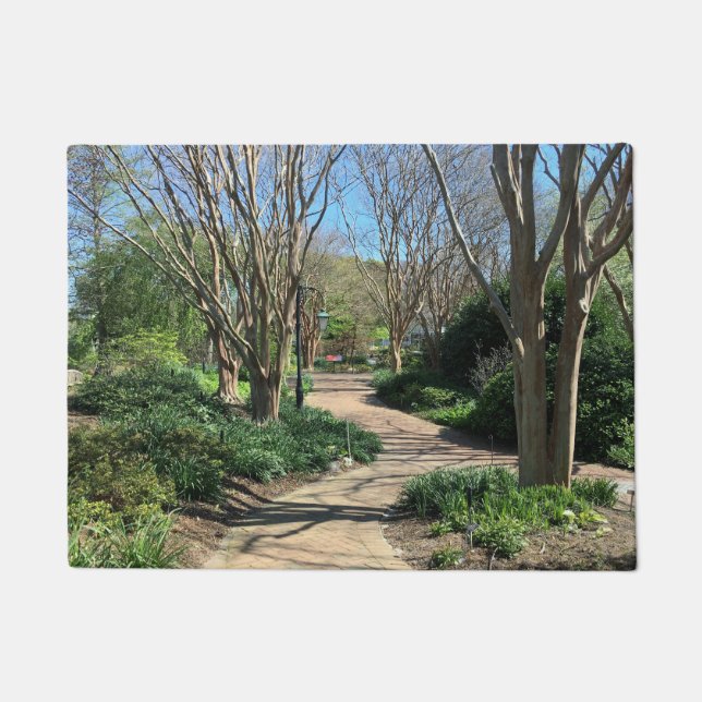 Tapete Scenic Walkway (Frente)