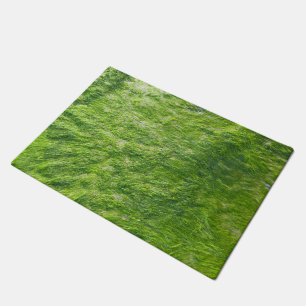 Tapete Sea Moss Green Nature Grass Beach NIMO
