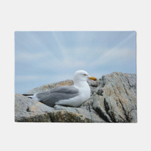 Tapete Seagull Beachy