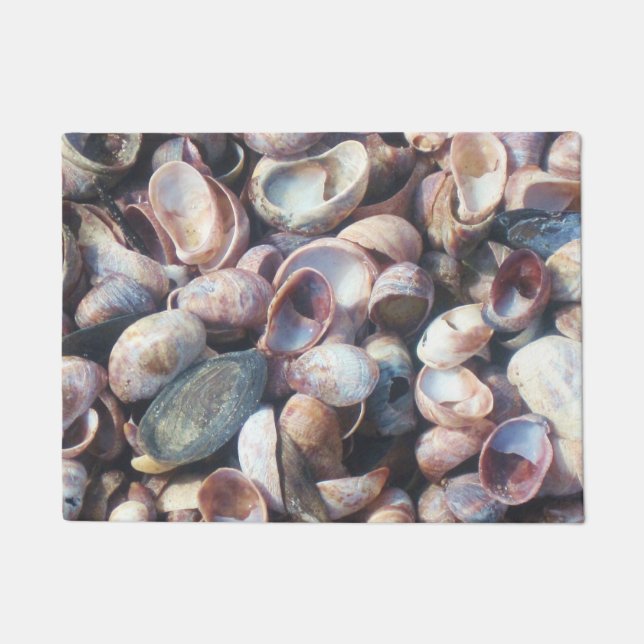 Tapete Seashell (Frente)